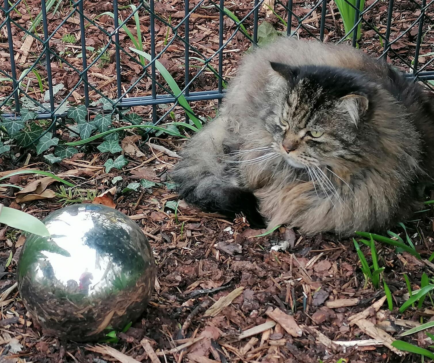 "Hallo, wie wird das Wetter?" hat unsere Leserin Lisa Riedel ihr Bild beschrieben.
