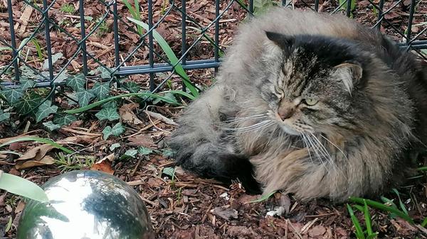 "Hallo, wie wird das Wetter?" hat unsere Leserin Lisa Riedel ihr Bild beschrieben.