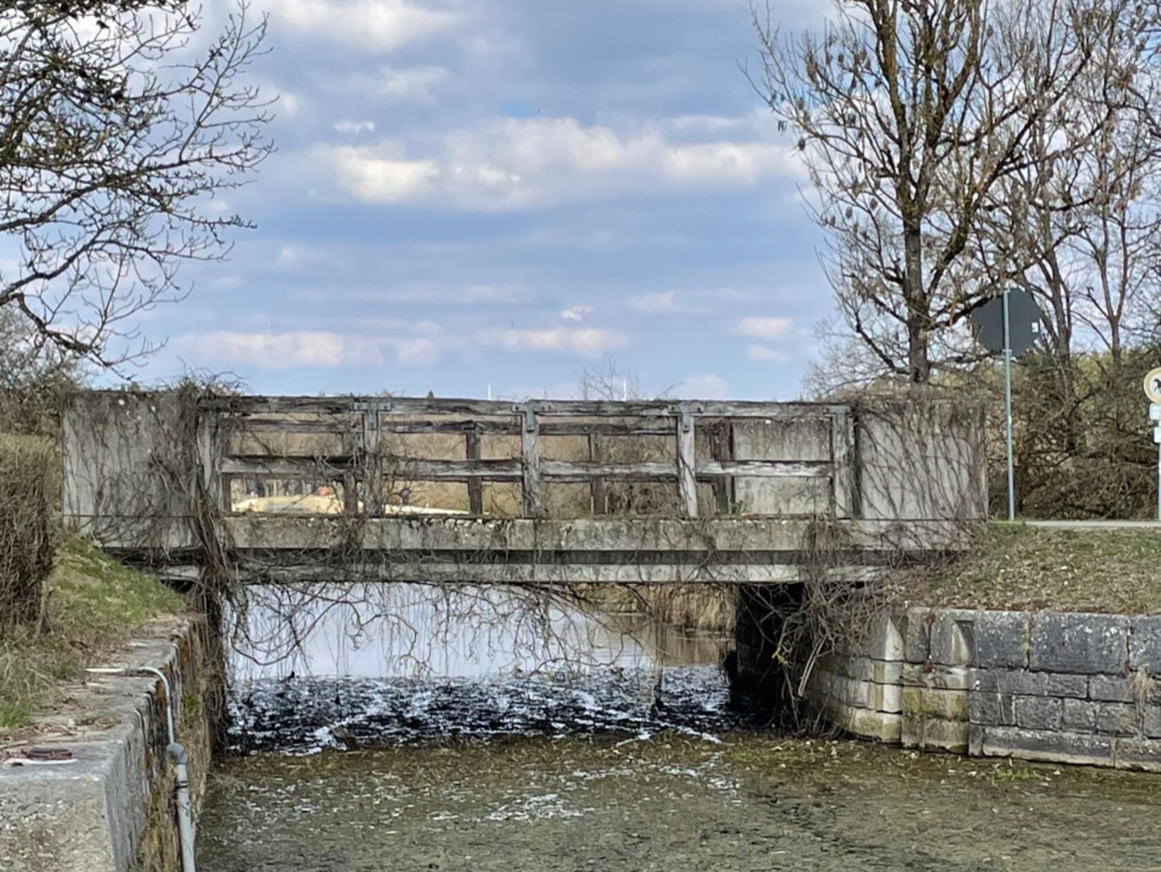 "Warten auf den Frühling" hat unsere Leserin Andrea Mertl ihr Bild genannt.