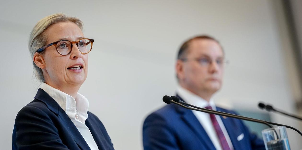 Keine Beschwerde gegen AfD-Entscheidung im Eilverfahren - Nürnberger Nachrichten