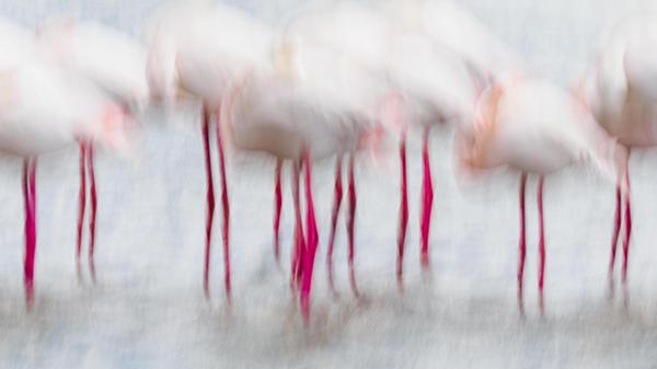 Foto: Kerstin Sperschneider