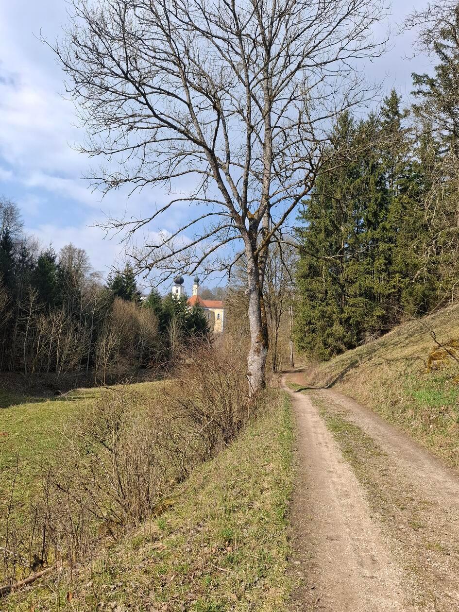 Unsere Leserin Rita Schmidt hat bei ihrem Rundweg die Kirche St. Sebastian in Breitenbrunn im Hintergrund fotografiert.