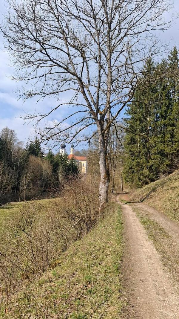 Unsere Leserin Rita Schmidt hat bei ihrem Rundweg die Kirche St. Sebastian in Breitenbrunn im Hintergrund fotografiert.
