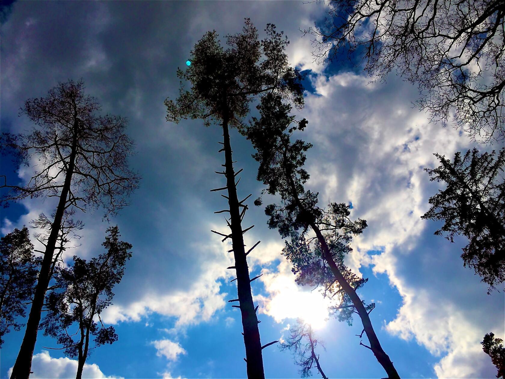 Diesen kontrastreichen Frühlingshimmel hat Leser Michael Haas fotografiert.
