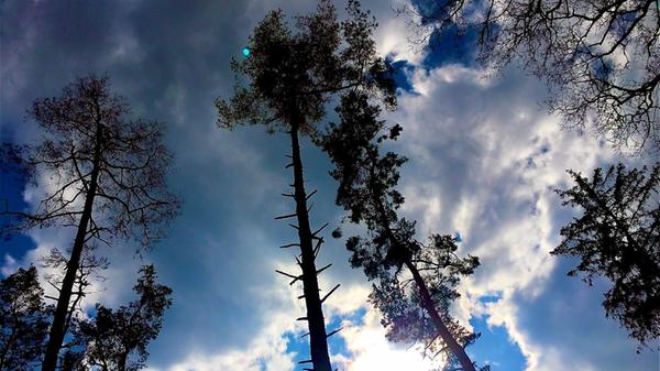 Diesen kontrastreichen Frühlingshimmel hat Leser Michael Haas fotografiert.