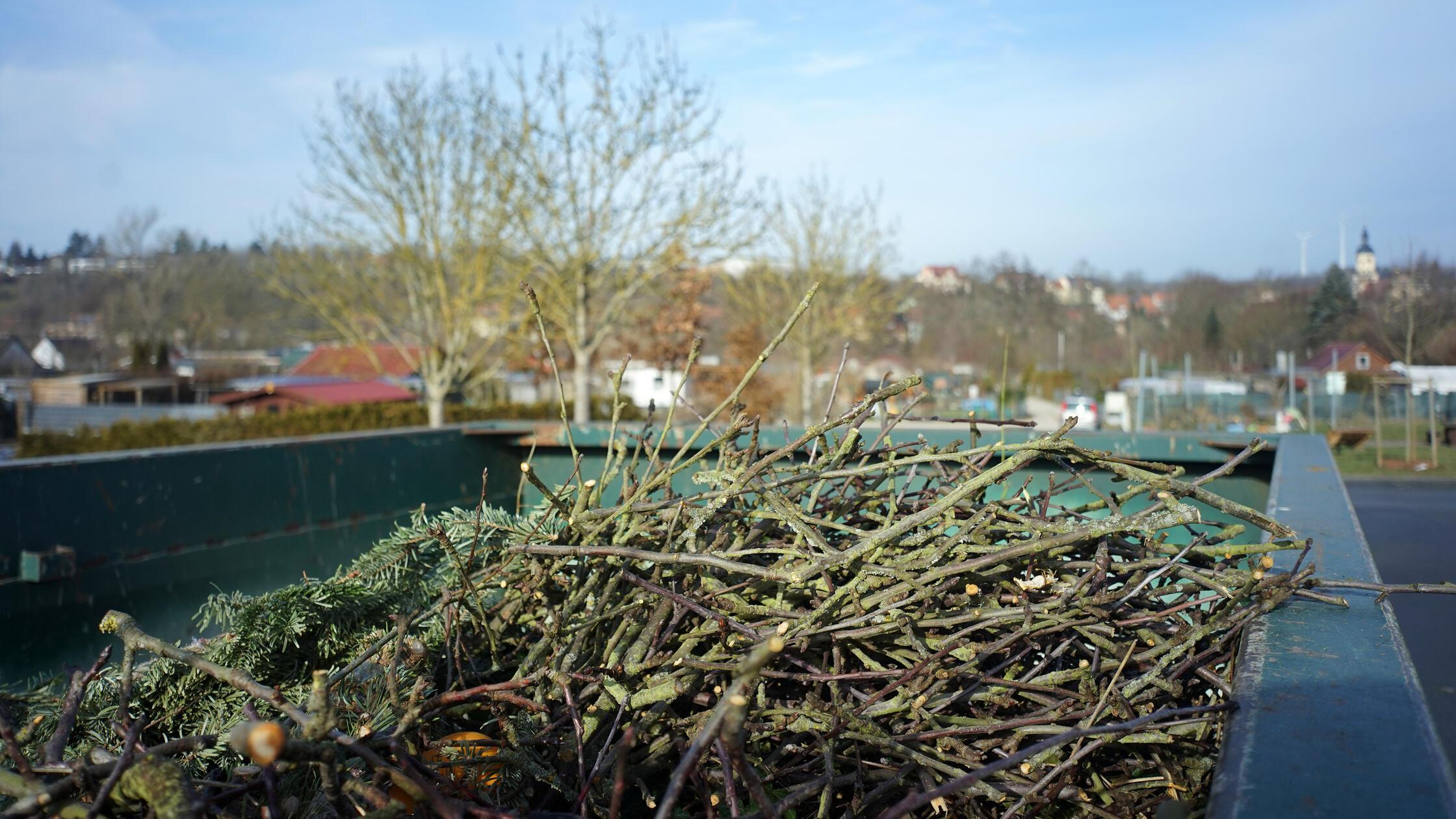 Dieser Grüngutcontainer, gestellt von der Gemeinde