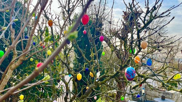 Der Osterbaum im Garten unseres Lesers ist geschmückt, der Osterhase kann kommen.