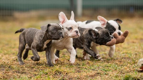 646033704_1351998386972929_755828718239044841_n