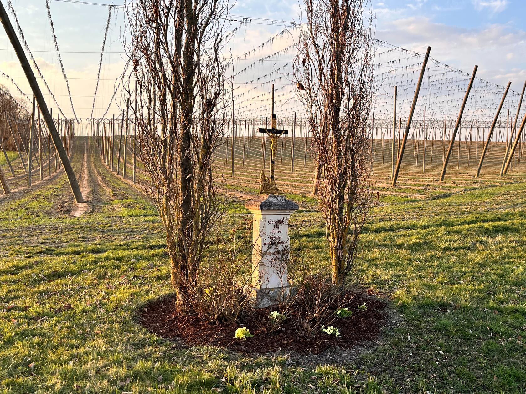 Das Feldkreuz am Hopfenfeld in Niederumelsfeld bei Siegenburg hat Leser Dieter Brünner fotografiert.