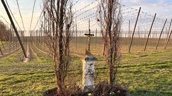 Das Feldkreuz am Hopfenfeld in Niederumelsfeld bei Siegenburg hat Leser Dieter Brünner fotografiert.