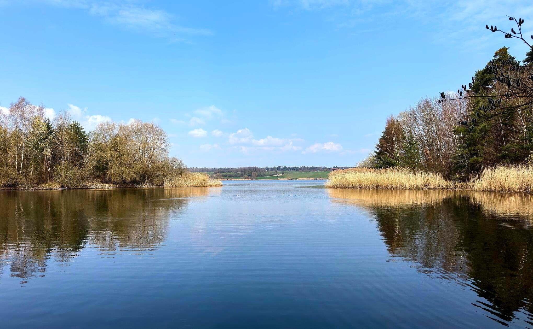 Am Rothsee hat unser Leser Dr. Jens Schwenke dieses Bild aufgenommen.