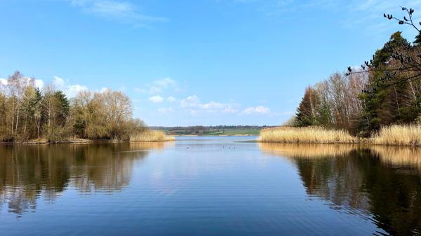 Am Rothsee hat unser Leser Dr. Jens Schwenke dieses Bild aufgenommen.