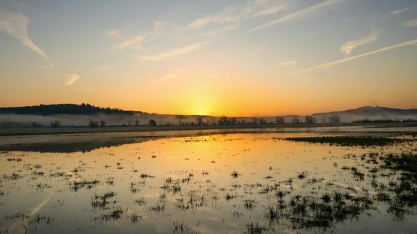Frühling in Baden-Württemberg