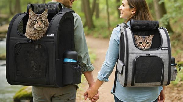 Katzen Rucksack mit Sichtfenster Katze