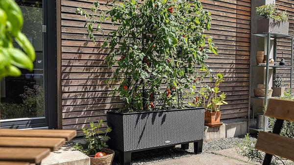 Lechuza Trio Cottage 30 Balconera Canto Amazon