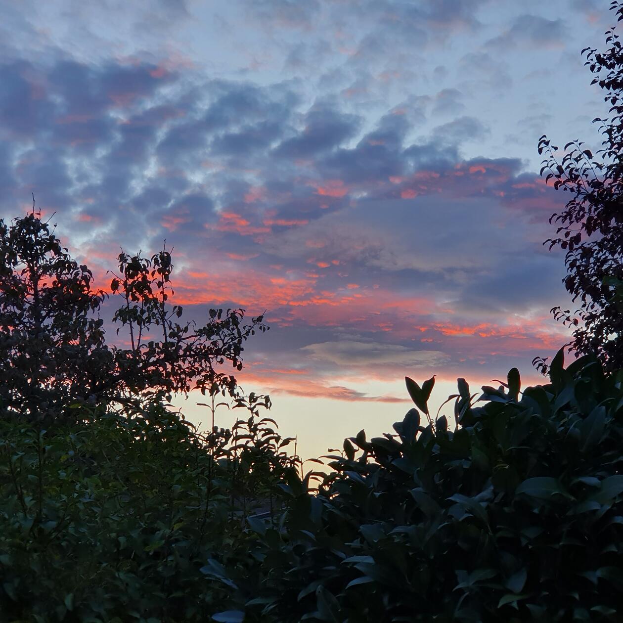 Wunderschöner Abendhimmel über Eckersmühlen.