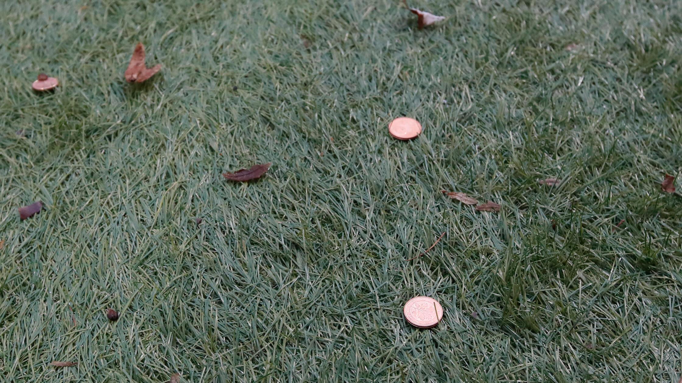 SV Elversberg - 1. FC Nürnberg