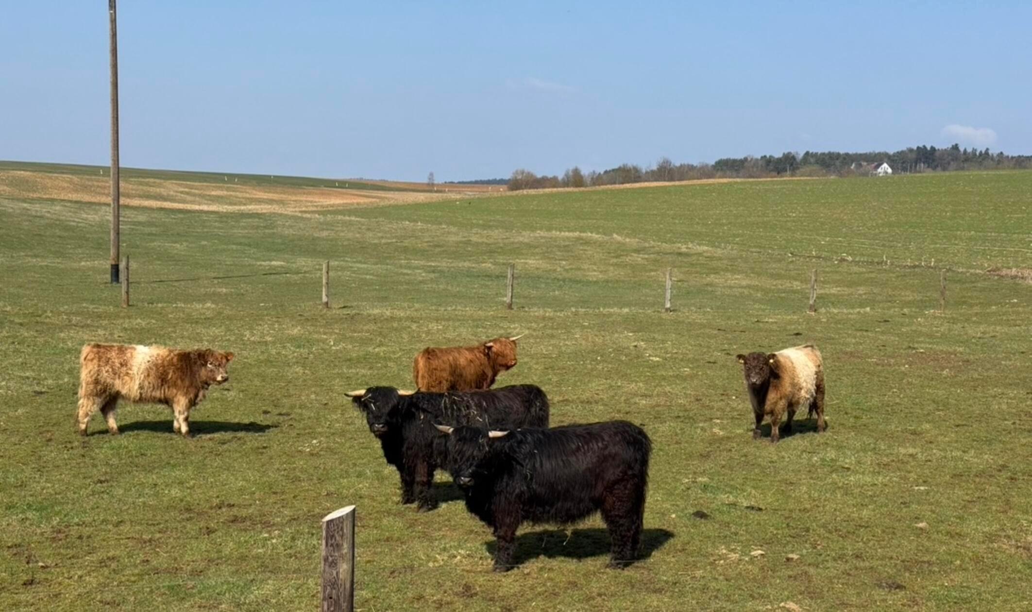 Unsere Leserin Heidi Kostic hat dieses Bild bei Habertshofen aufgenommen.