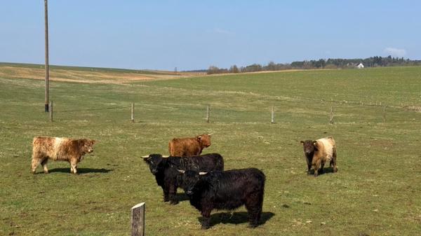 Unsere Leserin Heidi Kostic hat dieses Bild bei Habertshofen aufgenommen.