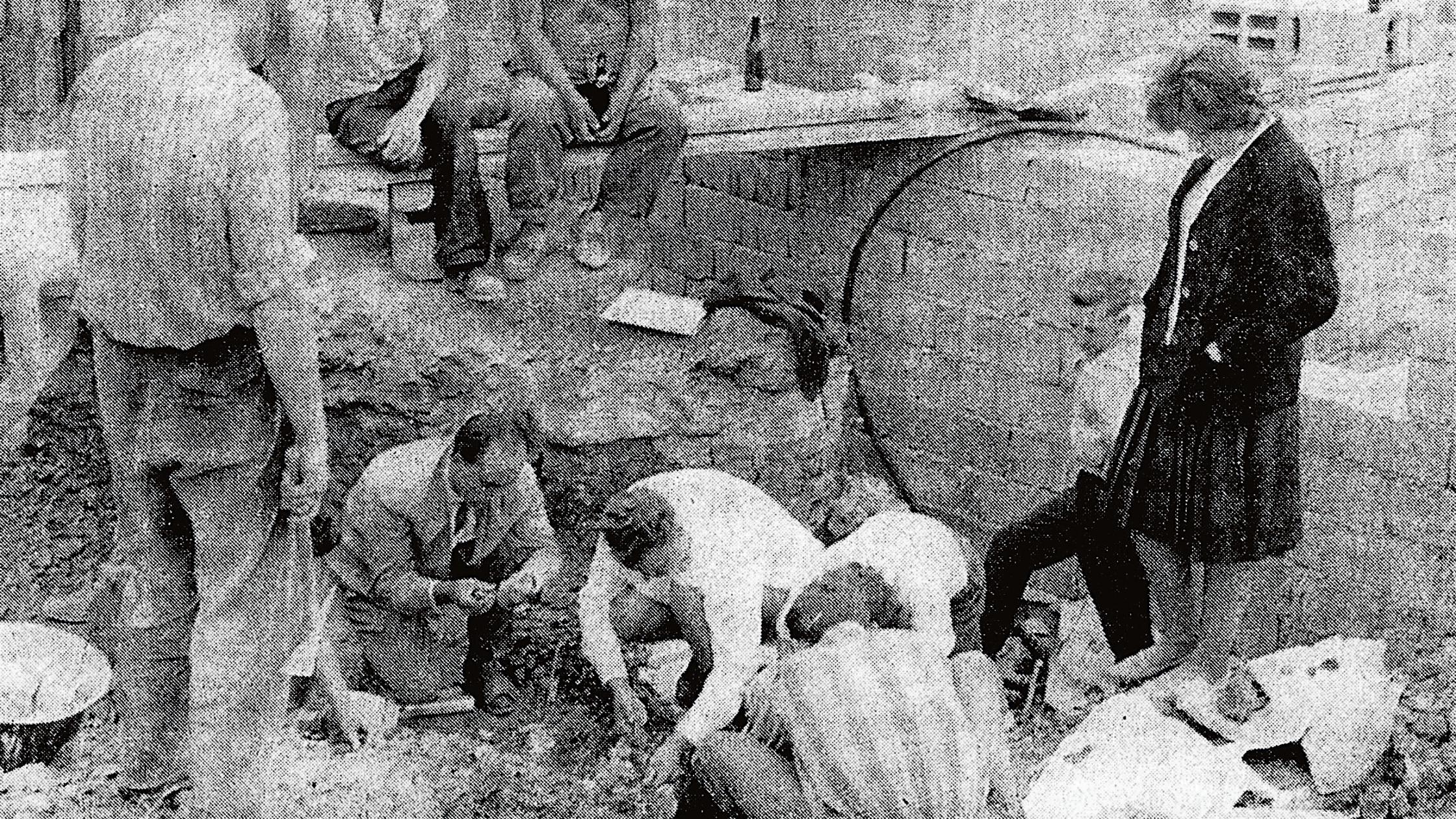 WT-Raubsauerier Ellingen