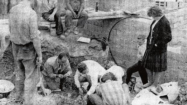 WT-Raubsauerier Ellingen