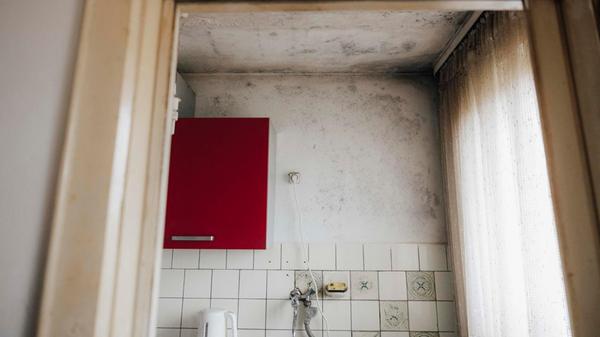 20250128_gi_GWS__N4A5860