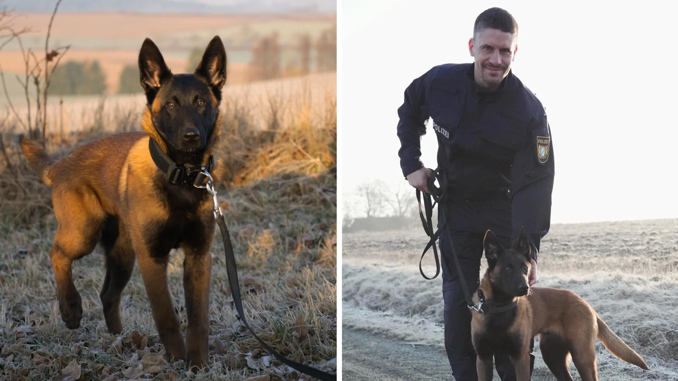 2026-03-07_11-08_collage