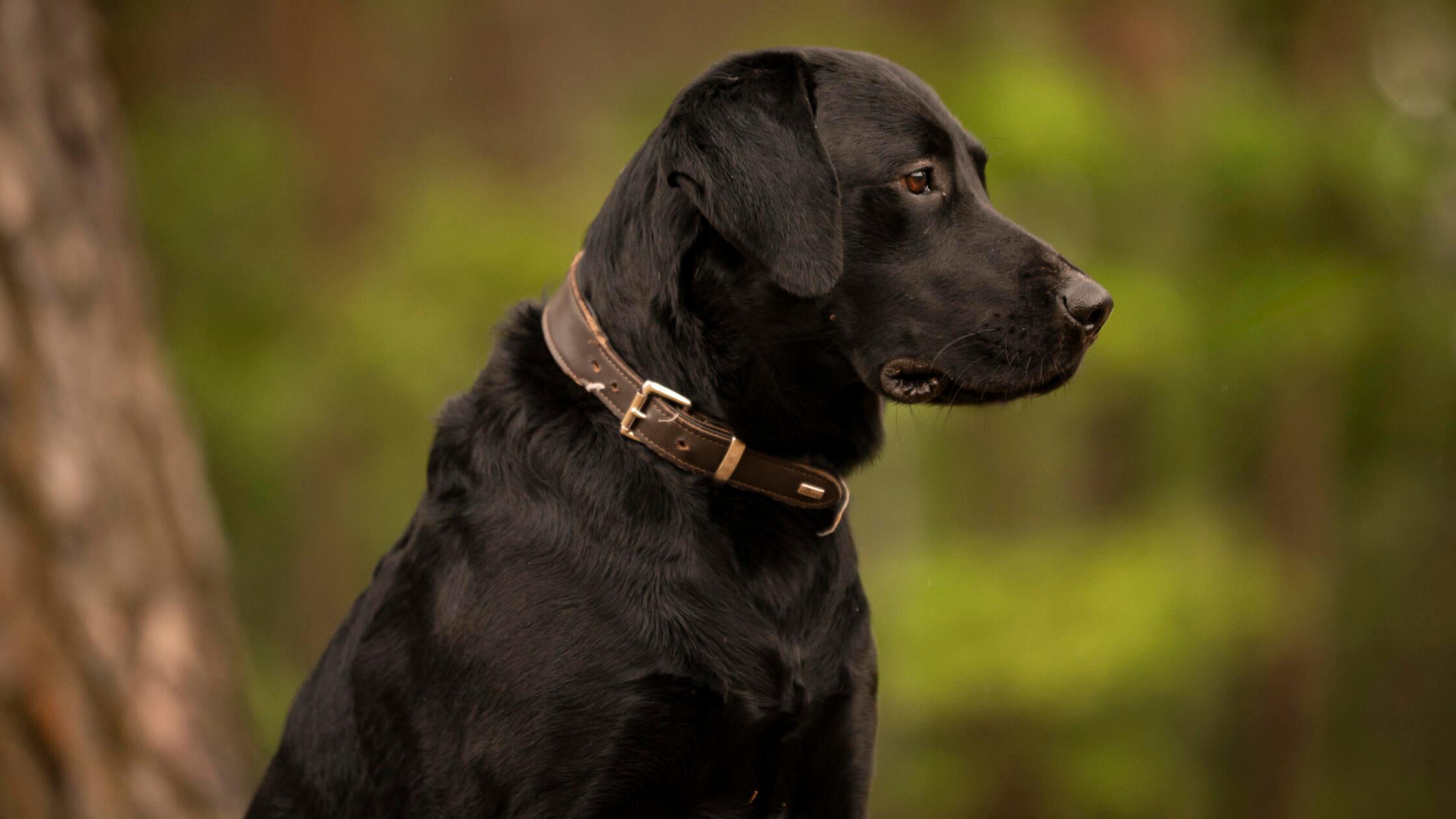 05_21-Tierheim_Chiara-Calow_21