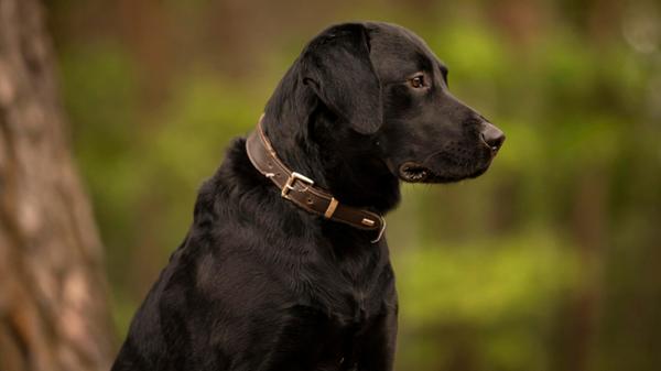 05_21-Tierheim_Chiara-Calow_21