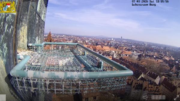 FalkeabsperrScreenshot 2026-03-07 125620