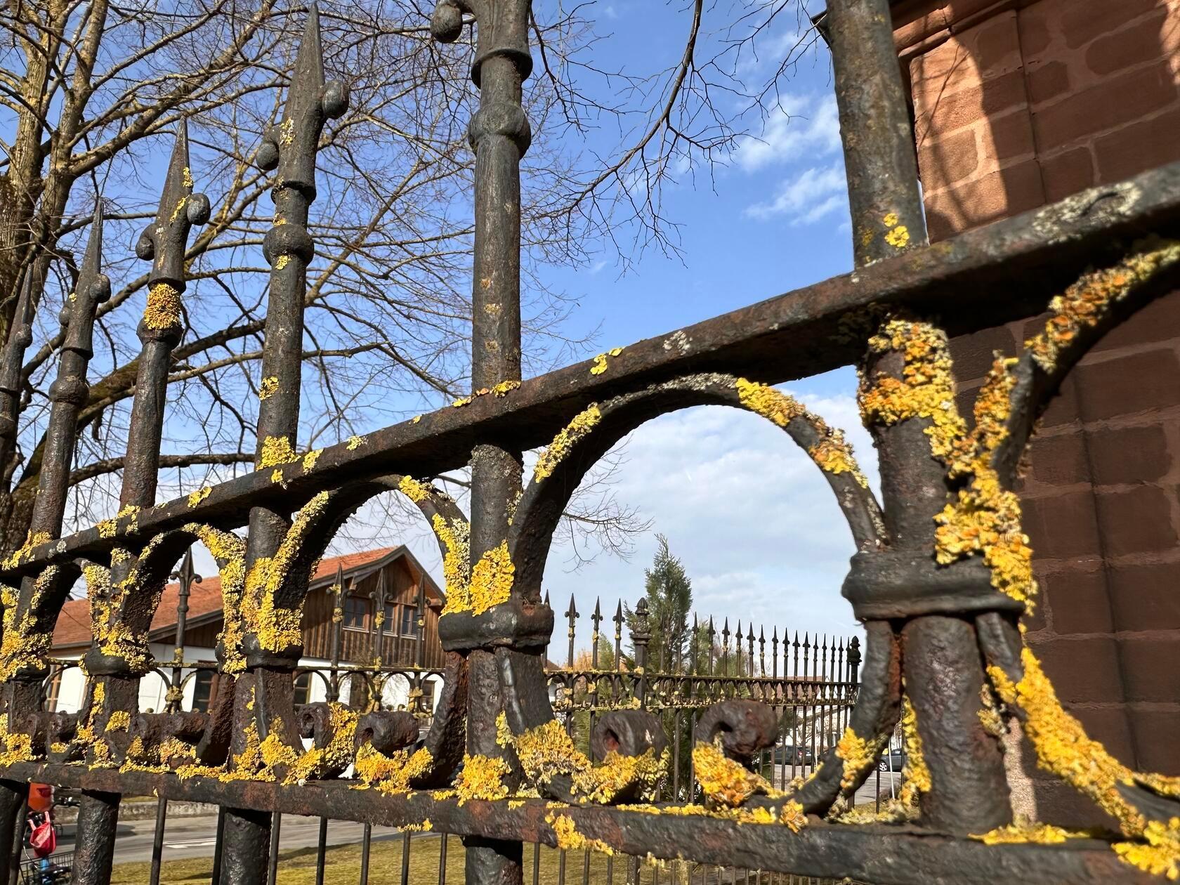 "Perspektiven" hat unsere Leserin Petra Gaukler ihr Bild genannt.