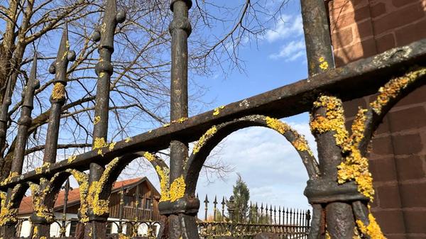 "Perspektiven" hat unsere Leserin Petra Gaukler ihr Bild genannt.