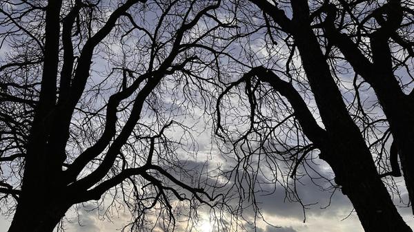 "Licht und Schatten" hat unsere Leserin Petra Gaukler ihr Bild genannt.