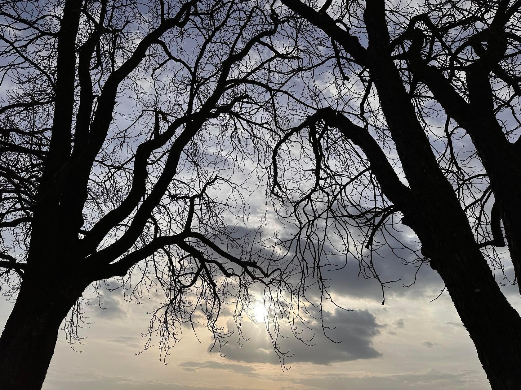 "Licht und Schatten" hat unsere Leserin Petra Gaukler ihr Bild genannt.