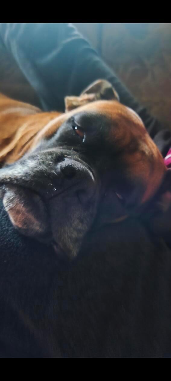 "Bertha im Traumland" wurde fotografiert von unserer Leserin Christa Endres.