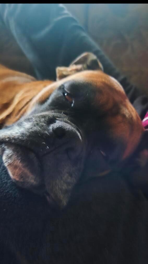 "Bertha im Traumland" wurde fotografiert von unserer Leserin Christa Endres.