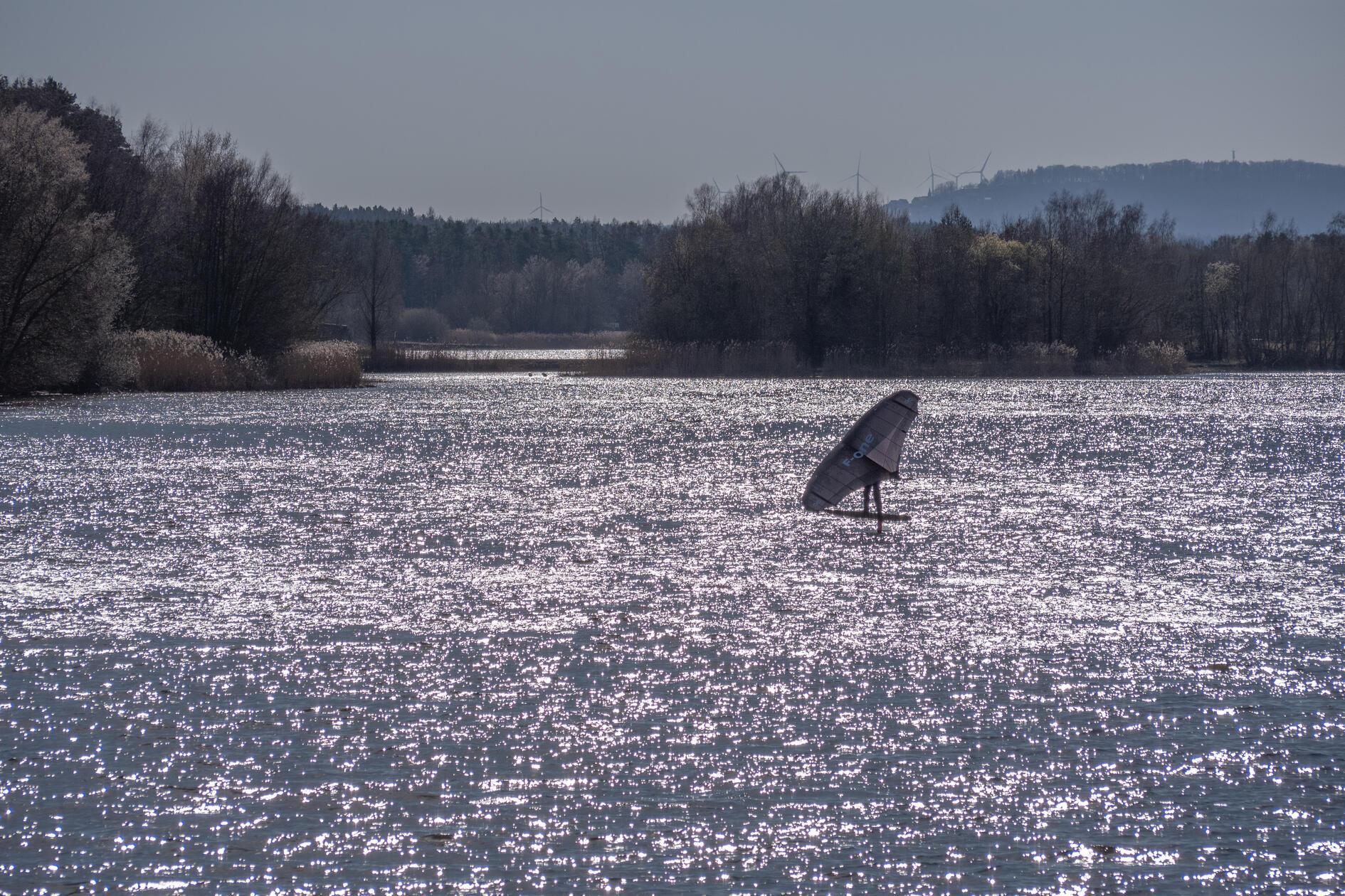 Mutiger Surfer bei steifer Brise am Großen Rothsee.