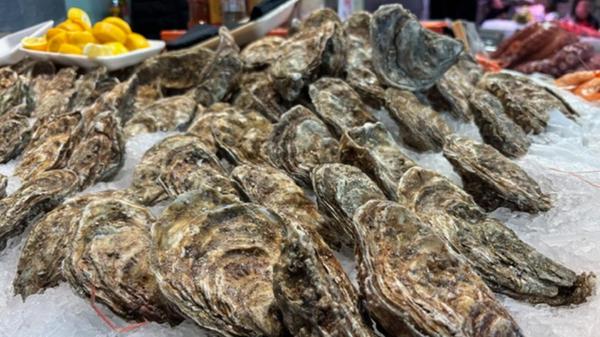 Fischliebhaber kommen aber auch hier auf ihre Kosten - auch solche, die Austern lieben.
