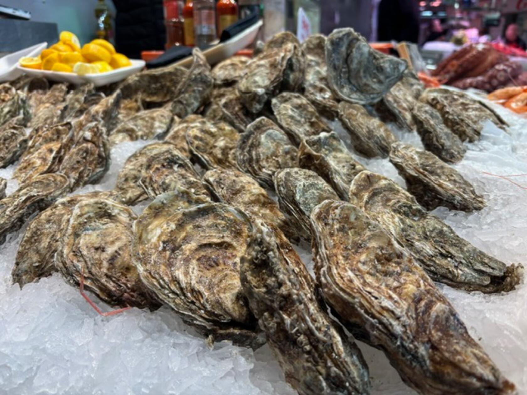 Fischliebhaber kommen aber auch hier auf ihre Kosten - auch solche, die Austern lieben.