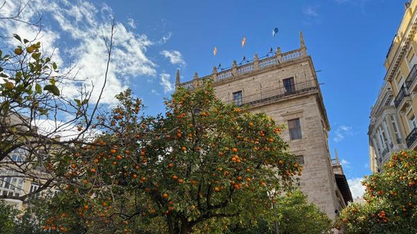 Auch Orangenbäume prägen an manchen Ecken das Altstadtbild.