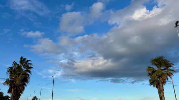 Eine gute Idee, auch um an den scheinbar endlos langen Strand von Las Arenas zu gelangen.