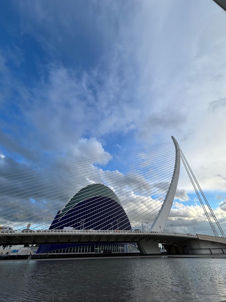 Manche Bauten sehen aus wie eine überdimensionierte Harfe.