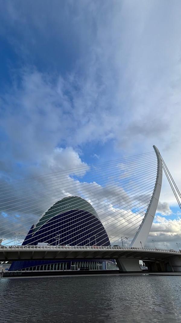 Manche Bauten sehen aus wie eine überdimensionierte Harfe.