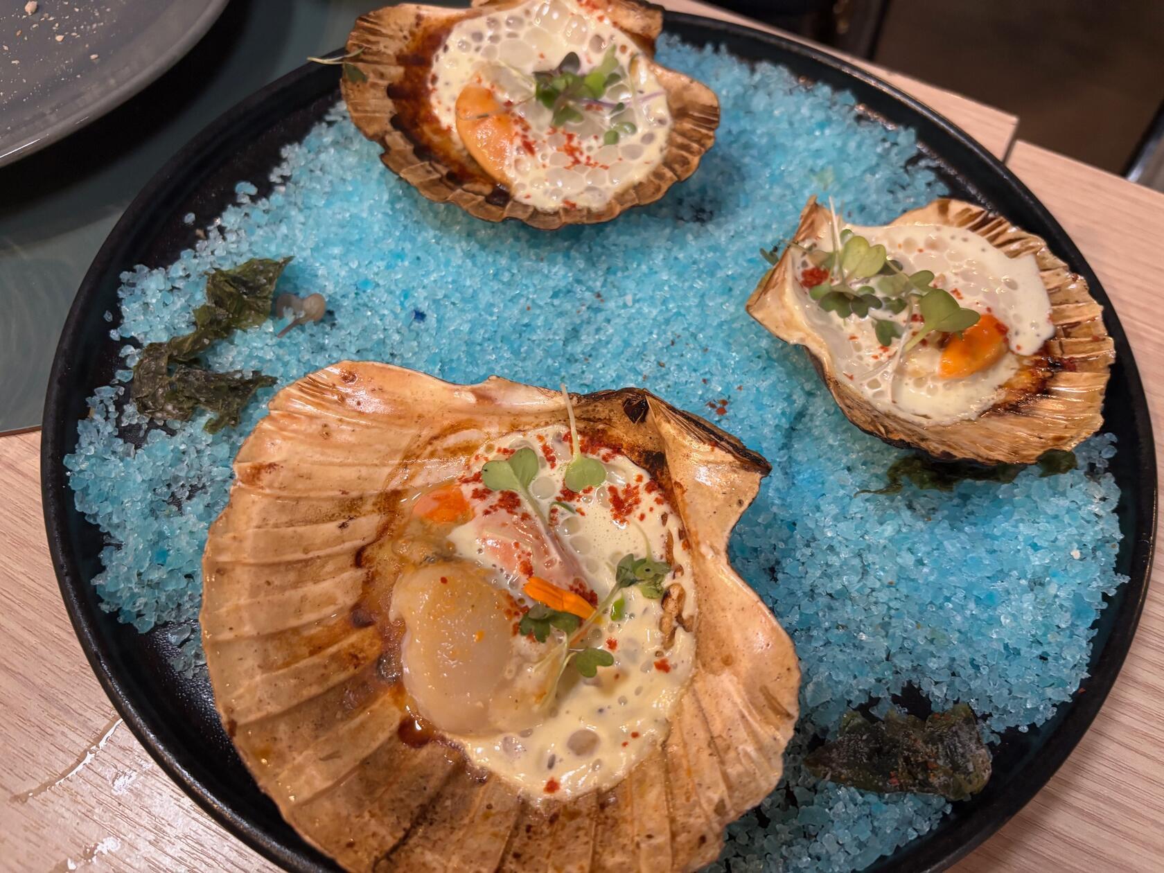 Jakobsmuscheln - nicht nur nett arrangiert, sondern auch köstlich.