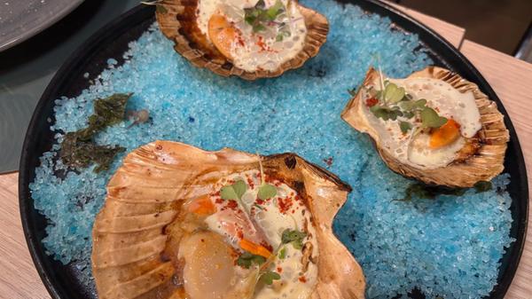 Jakobsmuscheln - nicht nur nett arrangiert, sondern auch köstlich.