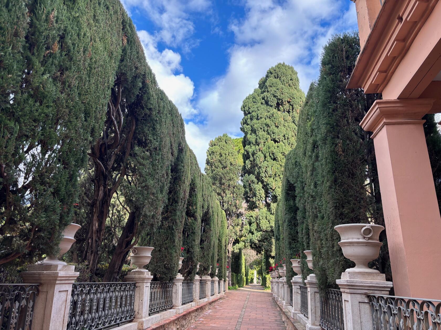 Jardines del Real: Die ehemaligen königlichen Gärten sind eine kleine grüne Lunge unweit des Turia-Gartens.