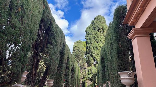 Jardines del Real: Die ehemaligen königlichen Gärten sind eine kleine grüne Lunge unweit des Turia-Gartens.