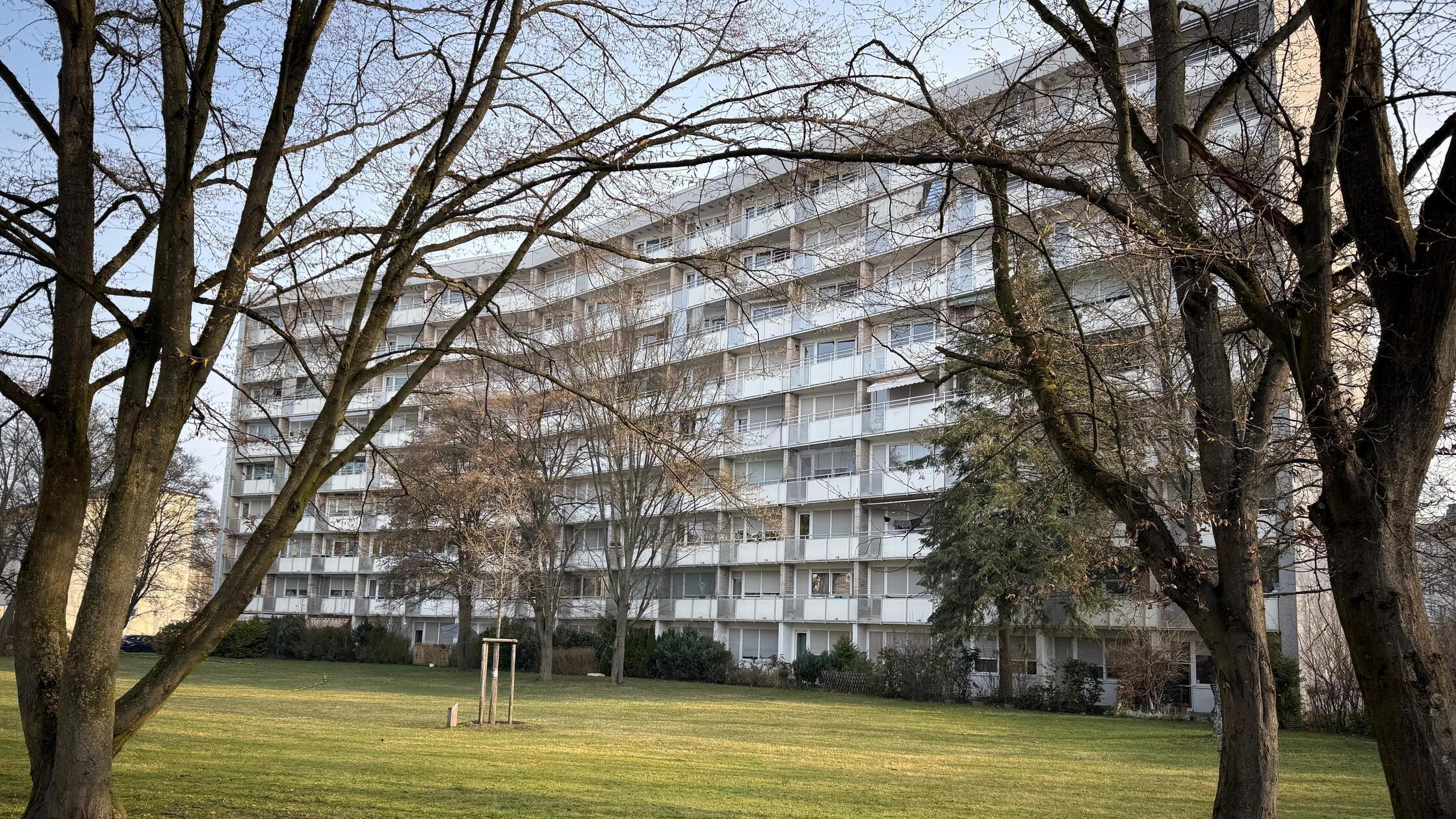 WhatsApp Image 2026-03-10 at 11.08