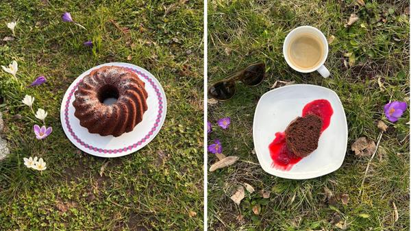 2026-03-11_13-19_collage