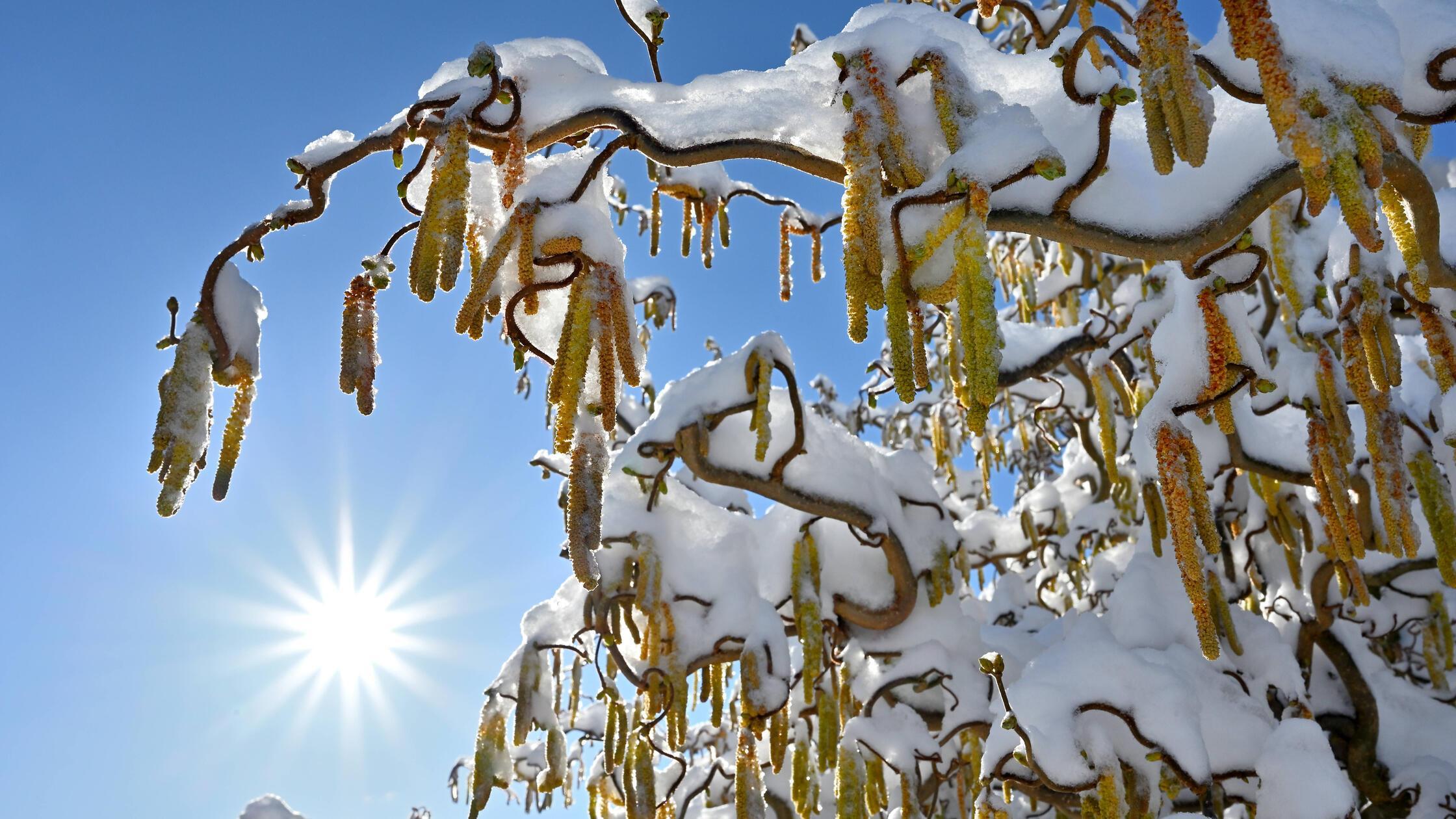 News Bilder des Tages Wintereinbruch im bayerische
